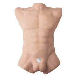 Apollo L buste homme pénis interchangeable silicone