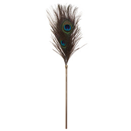 Plumeau à caresses Peacock Tickler boostant frissons aériens