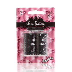 lot de 2 piles lr14 xtra endurance alcaline sexy battery