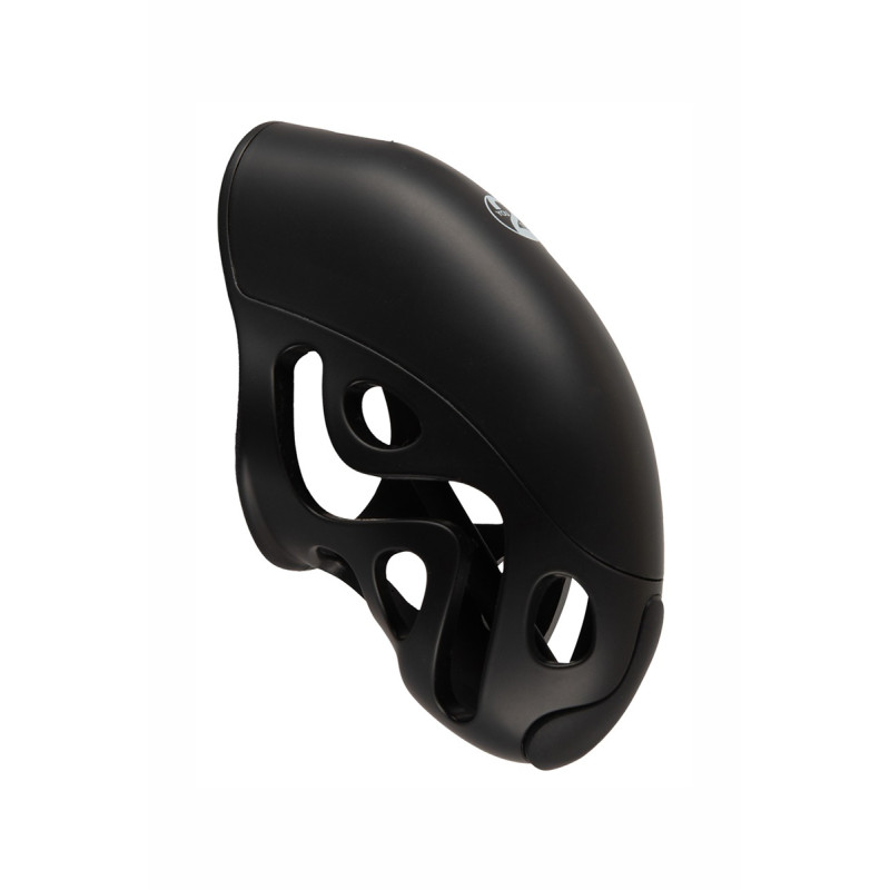 Cage de pénis avec dilatateur pour chasteté et stimulation anale simultanées