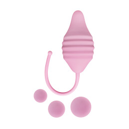 Pelvix Concept pour exercices périnée silicone médical anatomique