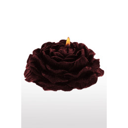 Set 2 bougies rose Bondage Taboom révélant bougies en forme de rose raffinée