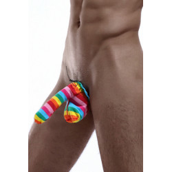 Cache-sexe multicolore Attire tous les regards pour un grand numéro.