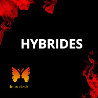 Lubrifiants Hybrides – glisse longue et polyvalente | DouxDésir